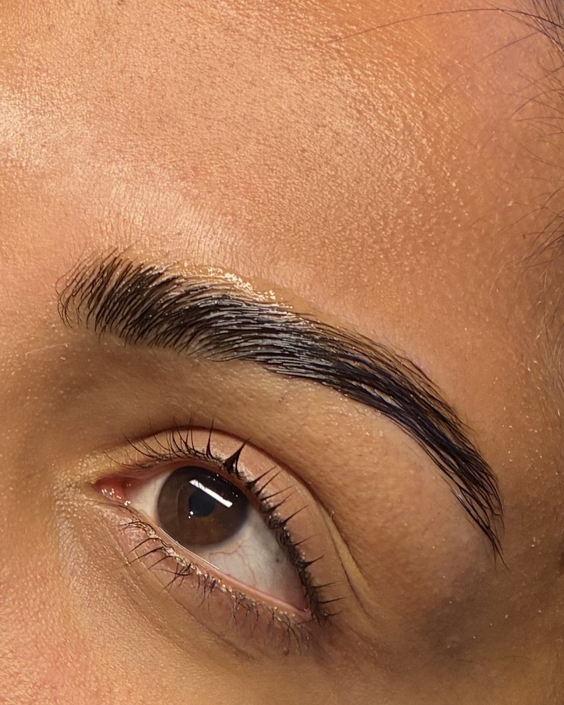 Close-up of a finished brow lamination — full, brushed-up brows